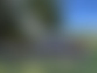 ボランティアのみなさま ありがとうございました