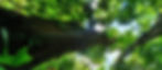 20201128_114952_edited_edited.jpg
