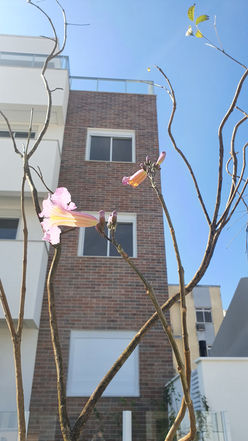 Apartamentos a venda em Coqueiros