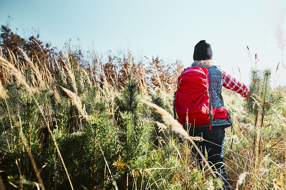Hiking