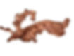 Thumbnail: Small driftwood piece