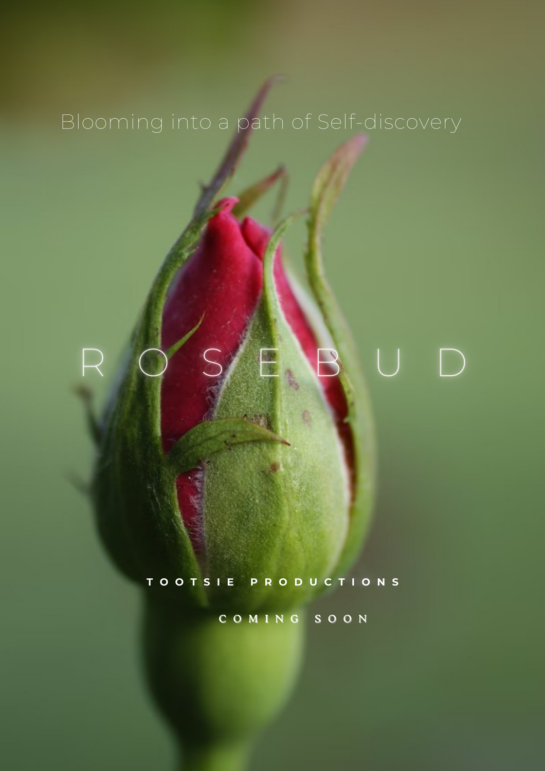 Rosebud key art: a red rosebud just beginning to open
