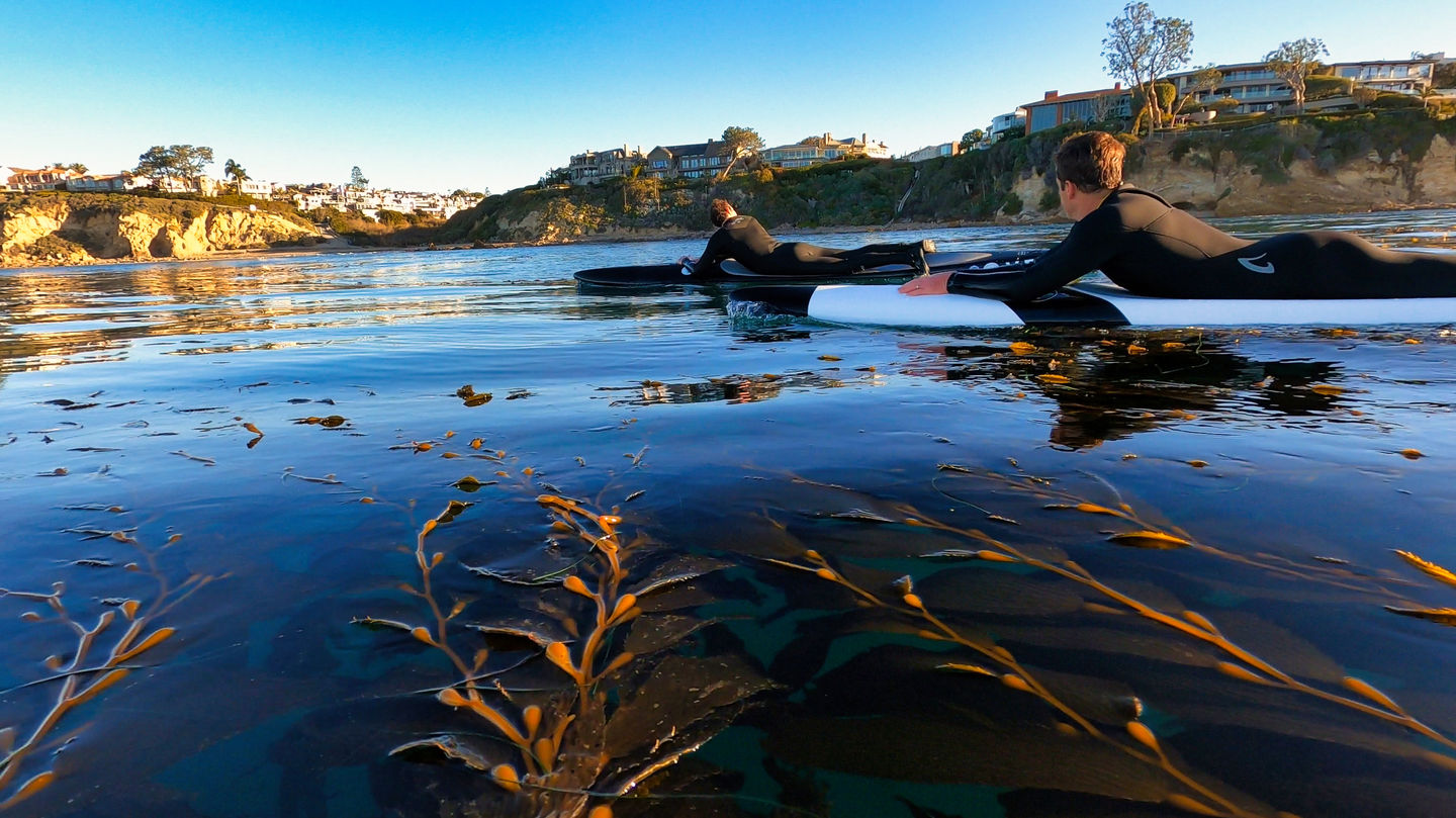 vesl prone kelp paddle thru 2.jpeg