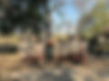 sabi-sabi-private-game-reserve-new-rangers.jpg