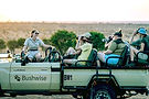 WIldlife course.jpg