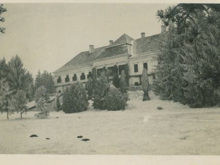 Karácsonyi üdvözlet