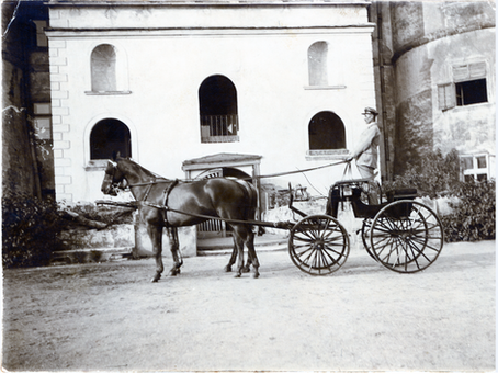 Hírlevél 2024.07.10.