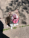 IMG_7377.jpeg