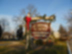 st_isidore_christmas_pics_005.3685238_std
