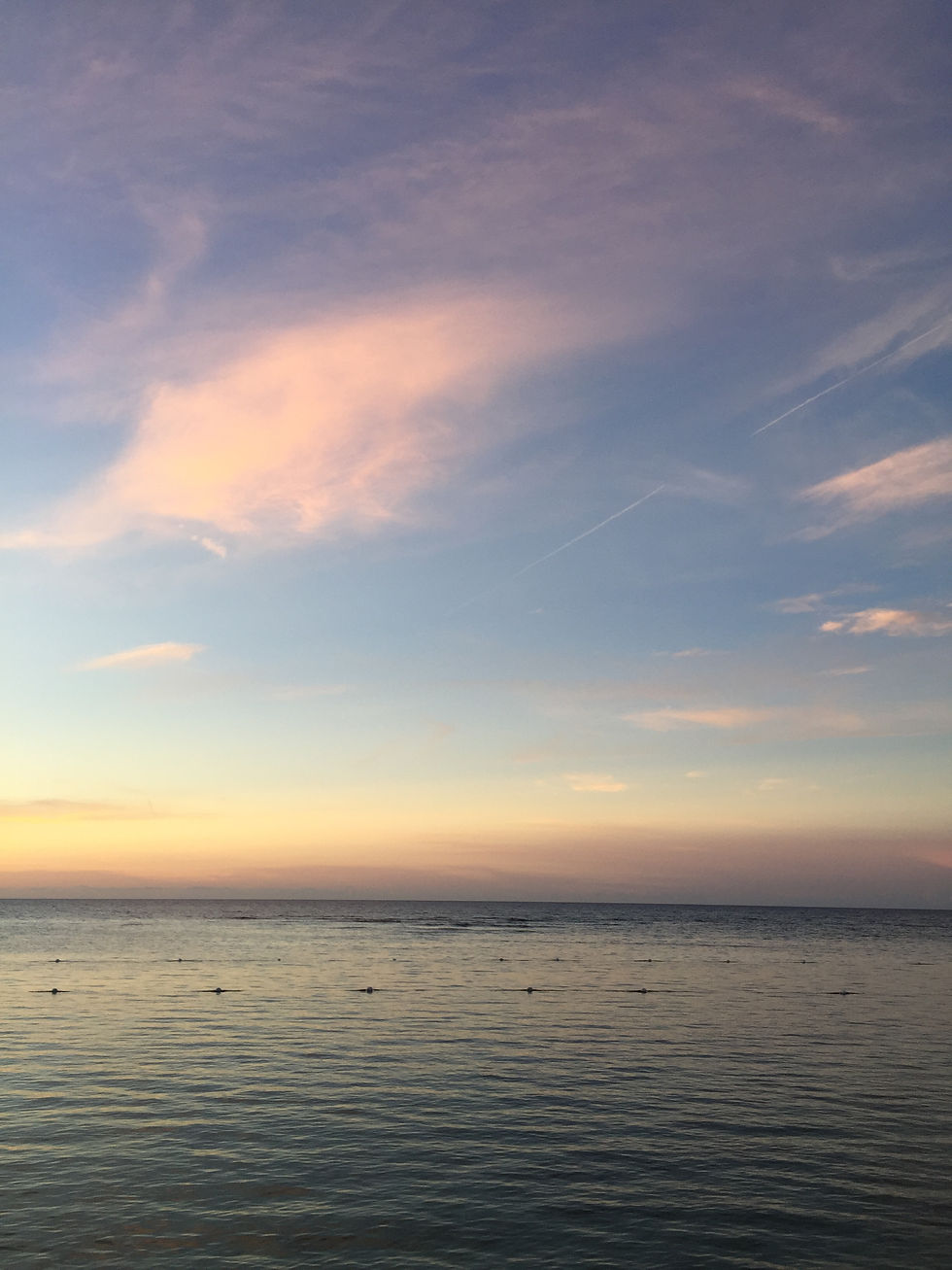 The Dreaded Fear of  Vulnerability 