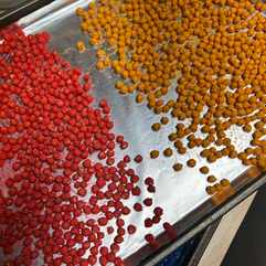 red and orange painted chickpeas on a foil lined baking sheet