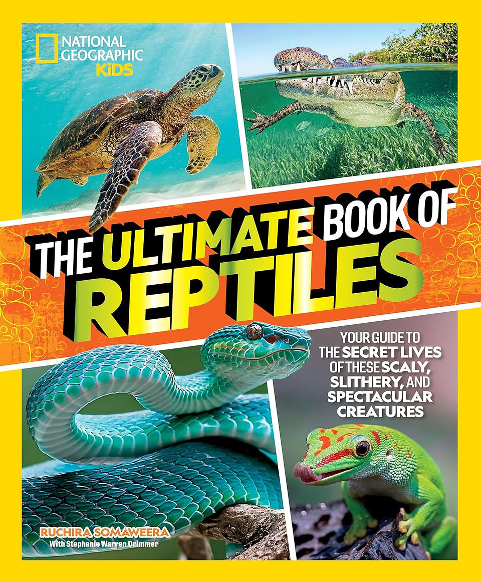 National Geographic Kids book cover featuring a sea turtle, crocodile, snake, and gecko. Bright colors and text highlight reptiles.