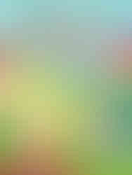 Cartoon animals, including a frog holding a "2nd" place trophy, gather on grass. Bright colors, playful mood. Text reads "Ready... Set... Frog!"