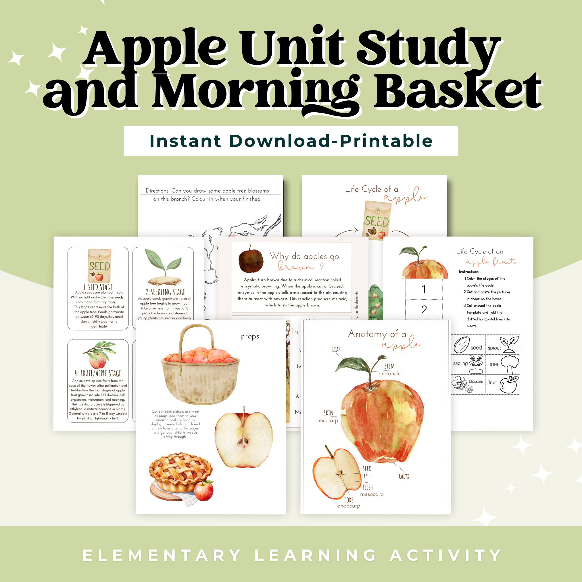Apple Unit Study and Morning Basket