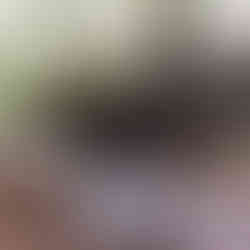 Vulture with wings spread stands on a rock in a rustic setting. Background features a wooden wagon wheel and mural of birch trees.