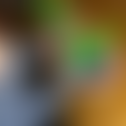 A sensory bin using a clear tub with colorful chickpeas, fidget toys, plastic tweezers, colorful blocks and alphabet letters