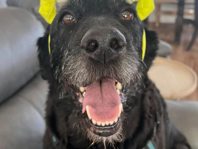 The October Overwhelm: How to Stay Grounded When Every Weekend Is a Fall Festival