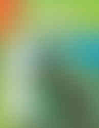 Green iguana on a tree with drawing steps on the left. Text: "Learn to draw Reptiles & Amphibians." Bright and instructional mood.