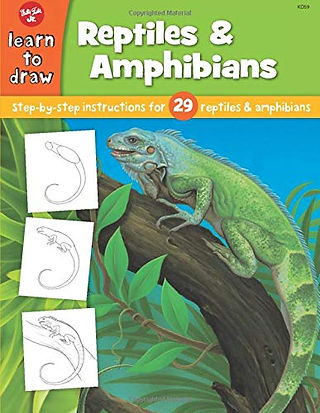 Green iguana on a tree with drawing steps on the left. Text: "Learn to draw Reptiles & Amphibians." Bright and instructional mood.