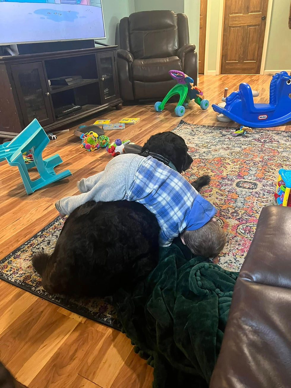 Child in blue plaid shirt lying on a black dog, surrounded by toys on a patterned rug in a cozy living room with a TV and recliner.