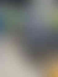 The Grocery Store complete with conveyer belts, cash registers, and play money and plenty of food and shopping options for kids to explore