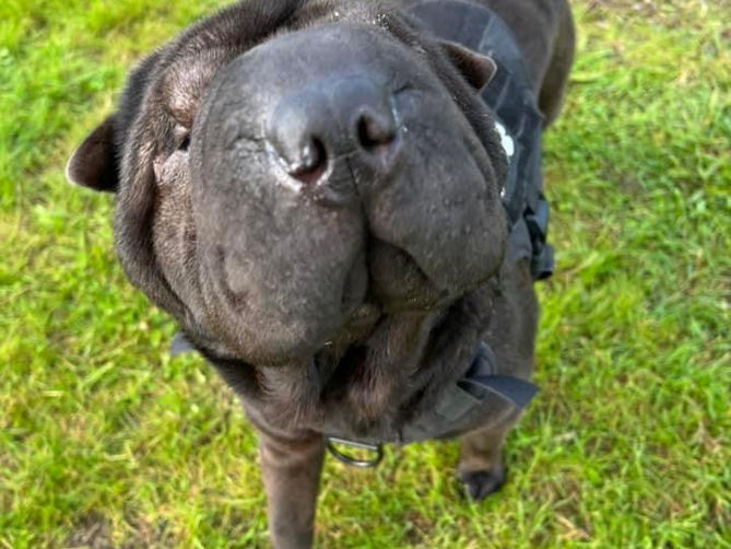 A 4AM Search and Rescue Mission