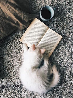 18 livres à lire pour 2018