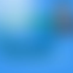 👩‍💻 Recepcionista