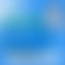 💼 Vendedor Interno