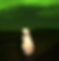 travel alejandra_edited.png