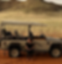 adriana travel_edited.png