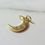 Thumbnail: Moon Charm