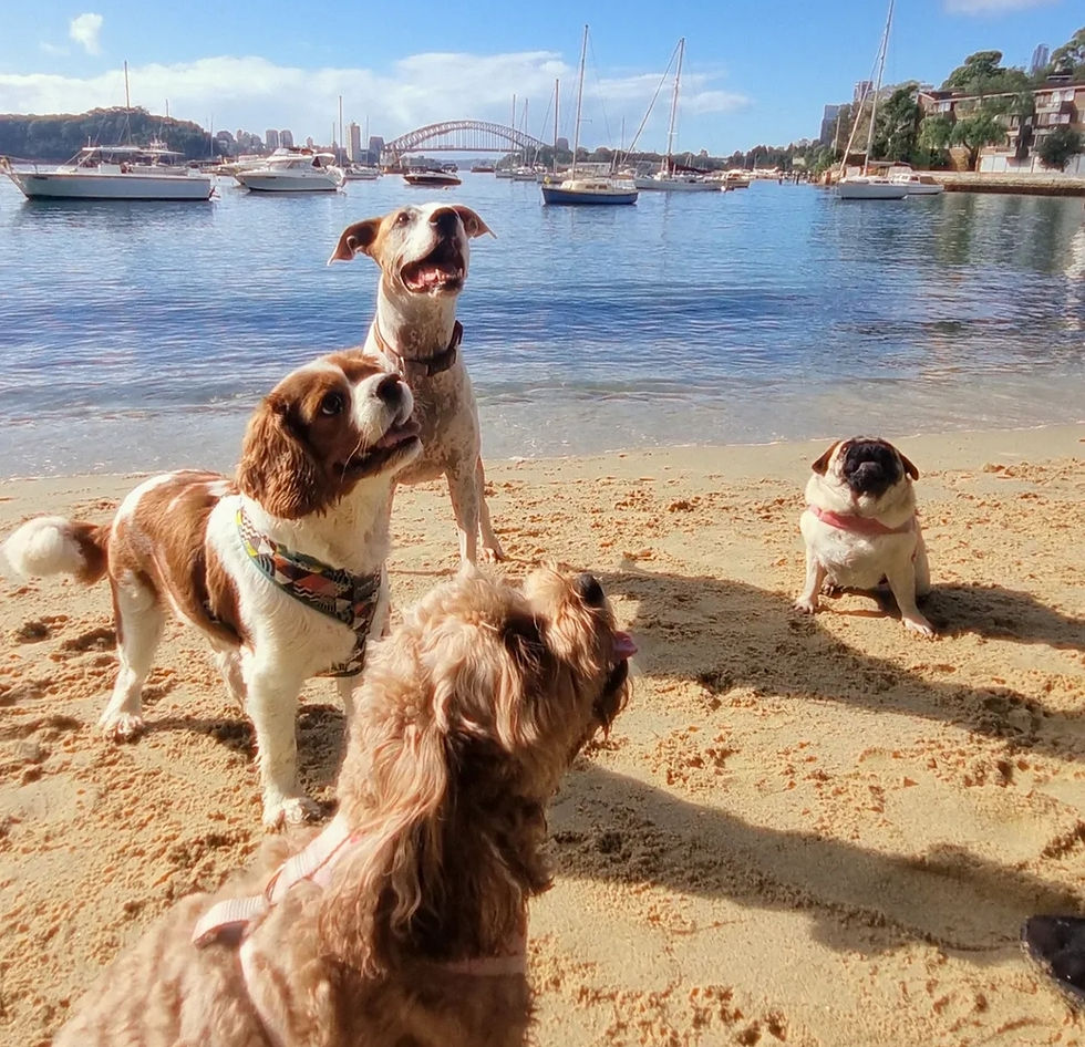 BEACH PIC 2.jpg