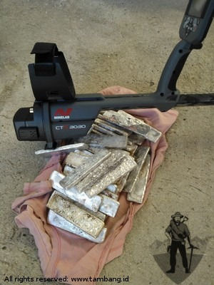 Sukses. Pengguna detektor harta karun menemu batangan emas.