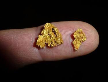 Detektor Emas Untuk Pemula