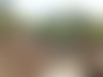 Detektor Emas Berubah Kehidupan Penggunannya Di Papua