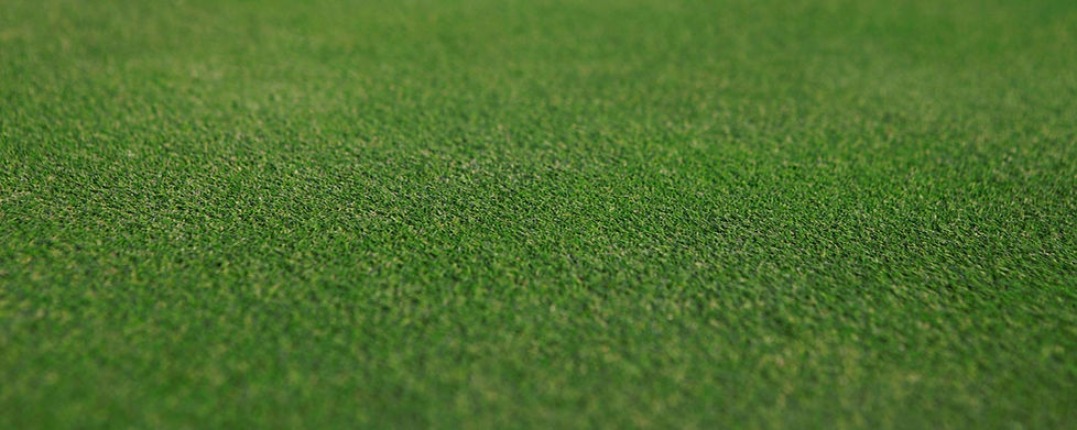 greenBG_edited.jpg
