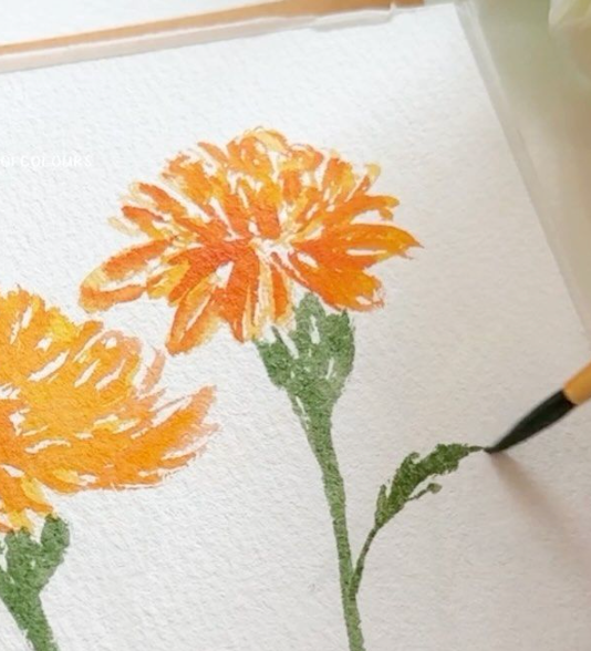 Autumn Blooms & Birth Flowers Watercolor Workshop
