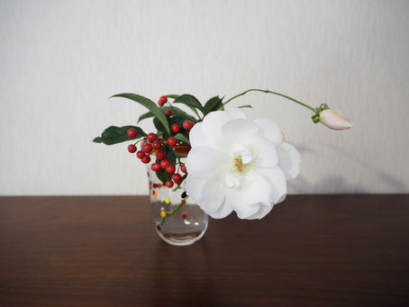 今年もよろしくお願いいたします。