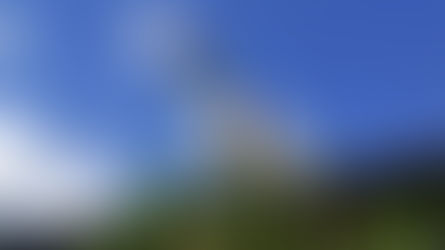 残暑お見舞い申し上げます。