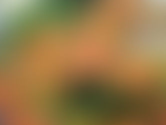 こんにちは