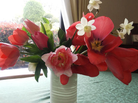 わが家の花 210