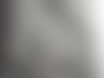 わが家の花(ヨメナ)