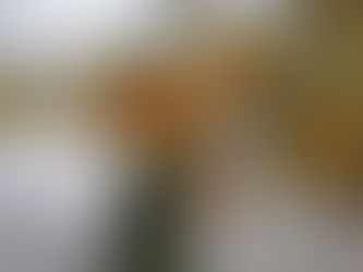 春は?