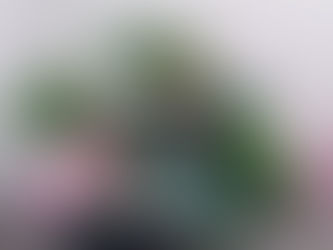 わが家の花 155