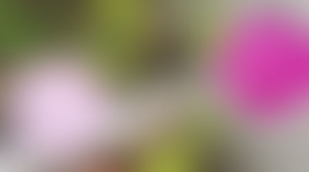 本日は朗読カフェでご予約の方のみのご利用です