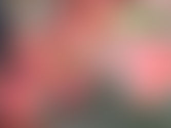 わが家の花(紅葉)