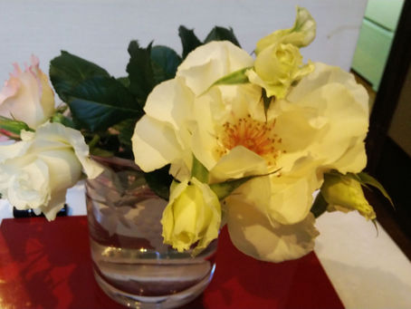 我が家の花 34