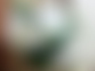 わが家の花 103