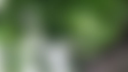 梅雨入り間近とか